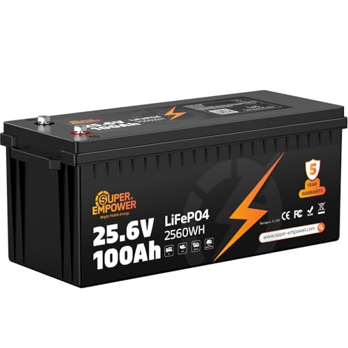 24V 100Ah LiFePO4 Lithium Battery – Deep Cycle 24V System Battery with Low-Temperature Protection, 100A BMS, 2560Wh Energy Storage for RV, Solar, Marine & Off-Grid