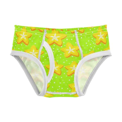 Fruit Carambola Green Toddler Boy's Underwear 2T 2302185