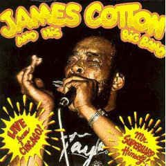 James Cotton and His Big Band Live From Chicago