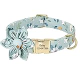 Beirui 犬 首輪 名前入り 迷子札 飾りの花取り外し可能 かわいい花柄 柔らかい生地 吊り輪付き 散歩 お出かけ用 おしゃれ犬用首輪 中型犬 大型犬 (ライトグリーン,L)