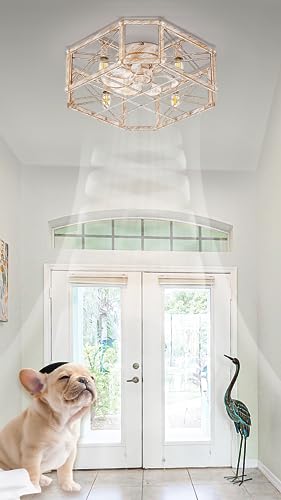 21'' Flush-Mount Ceiling Fan with Dimmable-Light Remote Control, Reversible-Motor, 6 Wind Speeds, Perfect for Bedroom, Living Room, Kitchen, Outdoor Gazebo, Patio, Low-Profile Design Retro Cage - Image 3