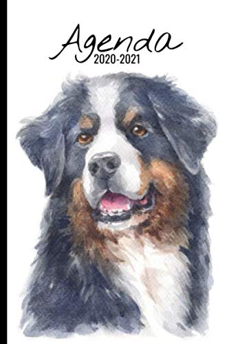 Télécharger Agenda Scolaire 2020 2021: Chien, Bouvier Bernois | Agenda semainier, Format A5 | Pour les étudiant PDF