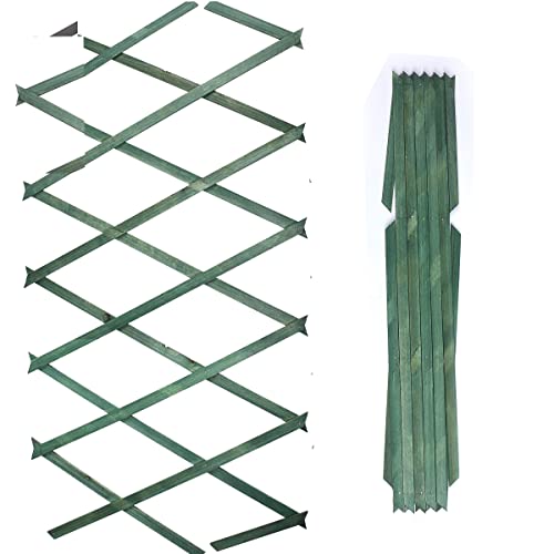 Almineez Pack of 2 x 6ft Garden Wooden Expanding Trellis Outdoor Screening Patio Extend Shorten Support Climbing Growing Plants Lattices Flowers Fence Decor Easy Installation (Green)