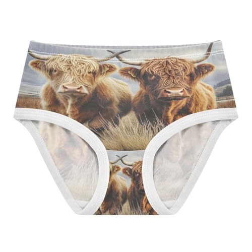 Two Highland Cows Winter Toddler Girls's Underwear 2T 202b8620