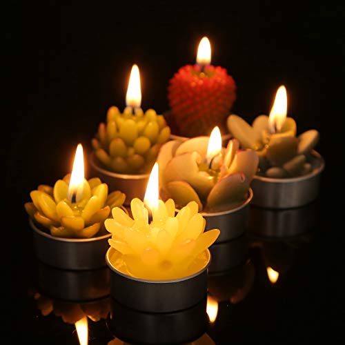 Ljqizn 6Pcs Cactus Tealight Candles Handmade Delicate Succulent Cactus Candles Tea Lights Perfect For Birthday Party Wedding Spa Home Decor Gifts (6Pcs Cactus Candles) #TOP7