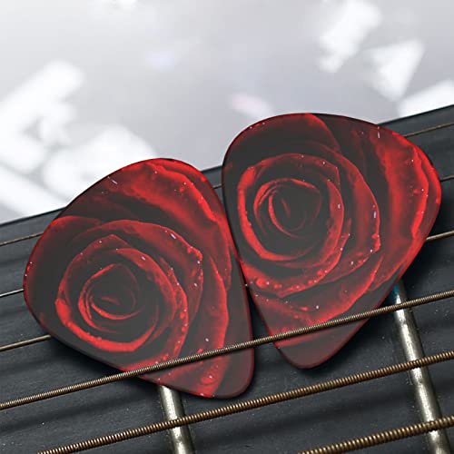 Médiators Guitare Pack de 12 Médiators Rose Rouge Pour Guitare Électrique Guitare Acoustique Diverses Guitares - Les Beatles, Paul McCartney, John Lennon, RIngo Starr, George Harrison Médiators Guitare Pack de 12 Médiators Rose Rouge Pour Guitare Électrique Guitare Acoustique Diverses Guitares – Image 7