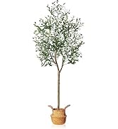 MOSADE Artificial Olive Tree 6 Feet Fake Olive Silk Plant and Handmade Seagrass Basket, Perfect T...