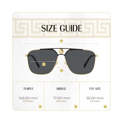 Versace VE2238 Rectangular Sunglasses for Men +BUNDLE with ACCESSORY EYEWEAR KIT4