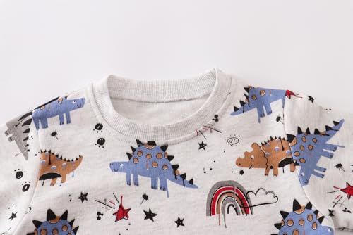 Image of AIWUHE Toddler Cotton Sweatshirt Boys Girls Pullover Long Sleeve Tops 2-6Y