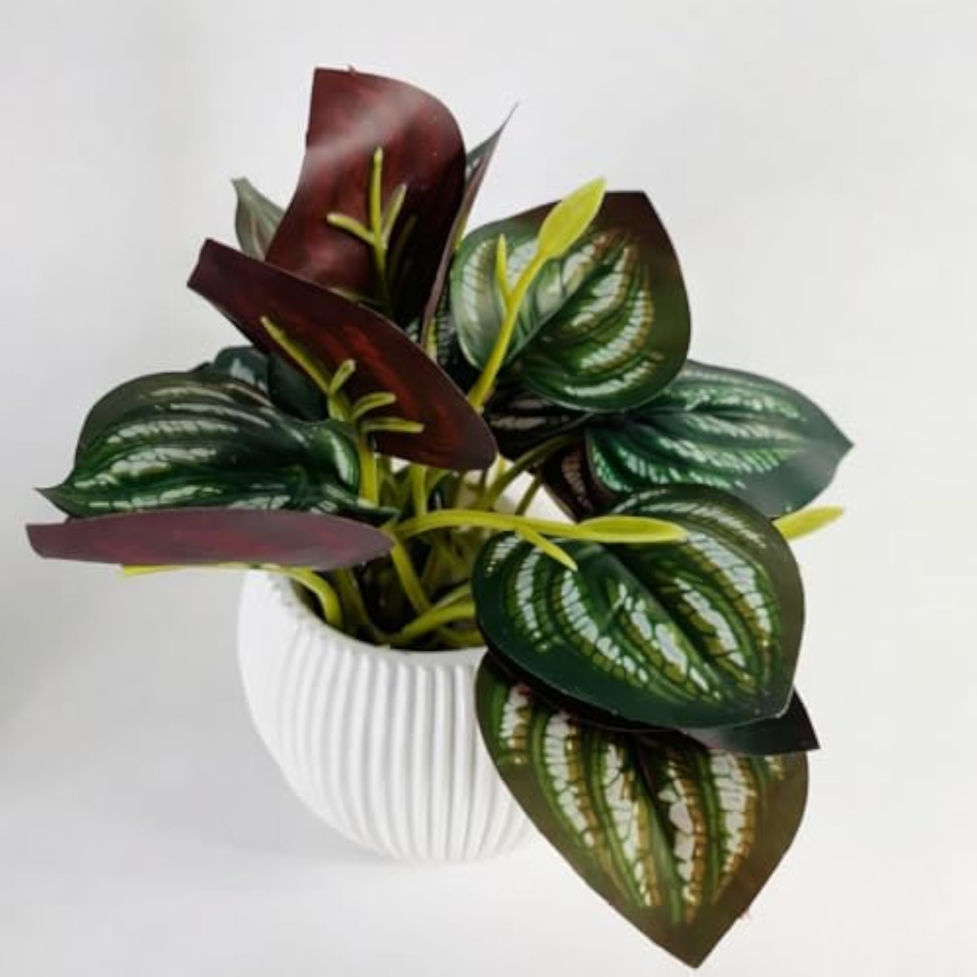 Artificial Calathea Leaf Plant with White Pot, Premium Decor