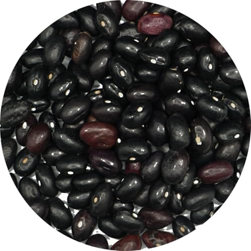A É kCY I 1kg 蓤 I܂ A É ܂ CQ 񂰂 runner bean B B CQ CQ}