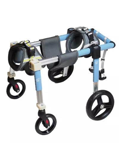 Fauteuil roulant pour teckel et lapin en promenade extérieure - 3