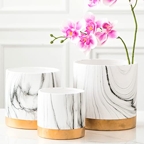 Plant Pots Indoor - 3 Pack Set, 4 + 5 + 6 Inch Plant Pot for Live Orchid, White Ceramic Planter, Marble Gold Decor Unique Modern Classy Flower Vase Succulent, Macetas para Plantas Interior Elegantes Plant Pots Indoor - 3 Pack Set, 4 + 5 + 6 Inch Plant Pot for Live Orchid, White Ceramic Planter, Marble Gold Decor Unique Modern Classy Flower Vase Succulent, Macetas para Plantas Interior Elegantes