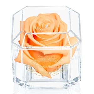 Una rosa reale al 100% che dura anni – Petali eterni, fatti a mano nel Regno Unito – Solo d’oro con cristallo Swarovski trasparente (pesca)