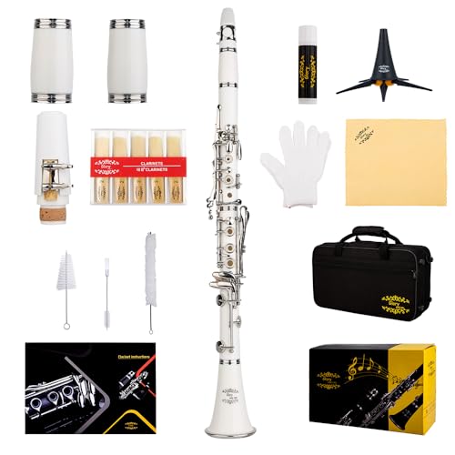 Image of Glory GLYCLAWH Professional Ebonite Bb Clarinet with 10 Reeds, Stand, Hard Case, Cleaning Cloth, Mouthpiece Brush and Pad Brush,White /Silver