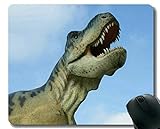 Mauspad mit Rastkante, Dinosaurier Fossil Dino Office Mauspad