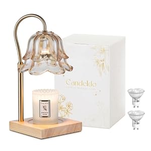 Candeldo Candle Warmer Lamp with Timer, Gold Flower Glass Shade