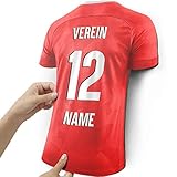  Elbeffekt Trikotlampe für Regensburg Fans aus Holz - personalisierbares Geschenk - schenke Dein individuellen Regensburg Fanartikel aus Echtholz