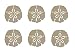 Sand Dollar Shape Unfinished Wood Cut Outs 2.5" Inch 6 Pieces SAND-06