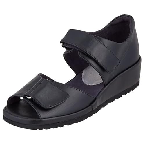[y_] T_ AVbNXEH[LO {v L2E݌v bxg fB[X ubN 22.0 cm 2E