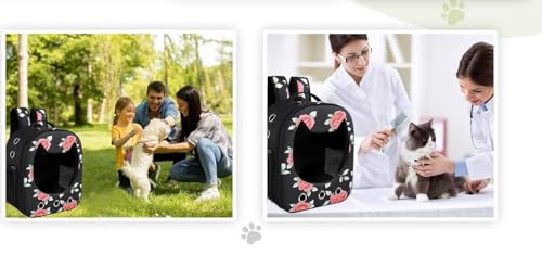 Image of Risan Pets Pet Backpack Transparent Cat & Small Dog Puppy Kitty Shihtzu Carriers for Breathable Airline Travel Approved Air Ventilation Backpack Size 16 x 13 x 9 inch (Mighty Black)
