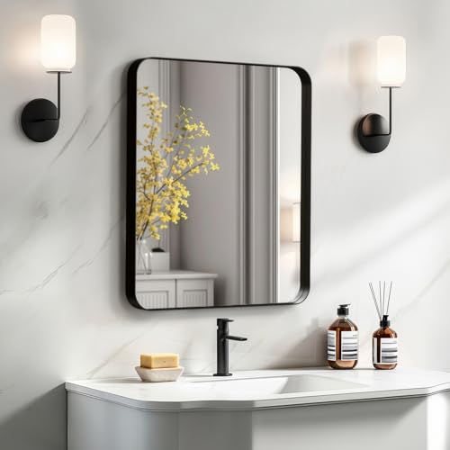 Kosmonia 20x16 Aluminum Framed Mirror