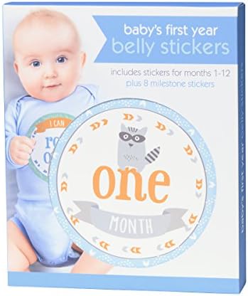C.R. Gibson Blue Animal Baby Boy Milestone Month Stickers, 4.5" D, 20pc