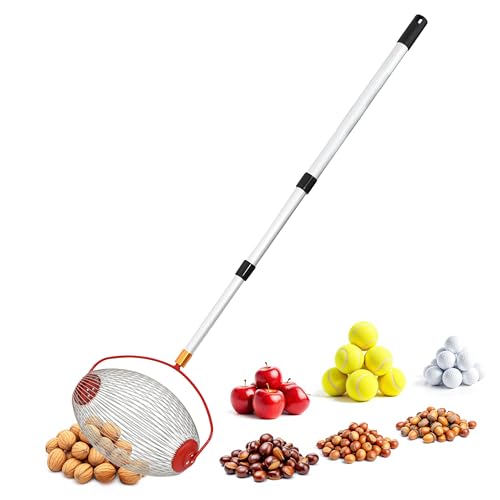 Rollsammler mit Alu Teleskopstiel - ausziehbar bis 120 cm - Nusssammler mit großem Erntekorb - Kugelpflücker Obstsammler Erntemaschine für Äpfel Birnen Kastanien Obst Nüsse Tennisball Golfball