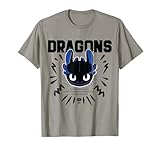 How To Train Your Dragon