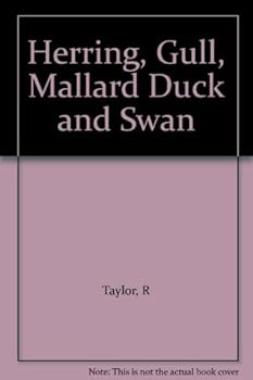 Herring, Gull, Mallard Duck and Swan