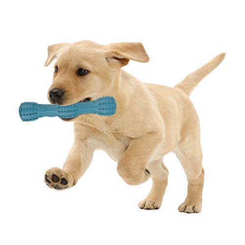 RvPaws Dog Chew Toys for Aggressive Chewers, Bite Resistant Dog Squeaky Toys Durable Soft Rubber Dumbbell Dog Teething Toys Floating Dog Toy Ideal for Pool Use Best for Small and Medium Breeds 1 pcs (B09KY636XM) Amazon Price History, Amazon Price Tracker