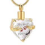 FRDXDAF Gioielli di Cremazione Collana con Urna Commemorativa per Animali Domestici in Acciaio Inossidabile con Cuore di Cristallo, Zampa Intagliata, Gioielli in Argento