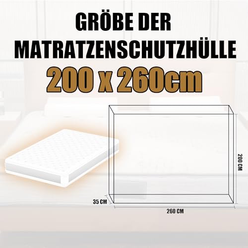 PROMORE Matratzenhülle 180 x 200/200 x 200 cm für Umzug und Lagerung Schutzhülle für Matratzen Matratzentasche Aufbewahrung Kunststoff Matratzenbeutel, Reißfeste Wiederverwendbare Matratzentasche