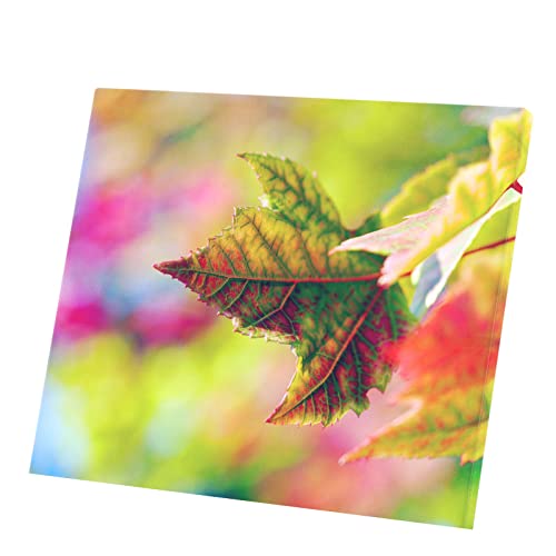 Toile Nature Zen Feuilles d'Automne pour créer un salon cocooning chaleureux