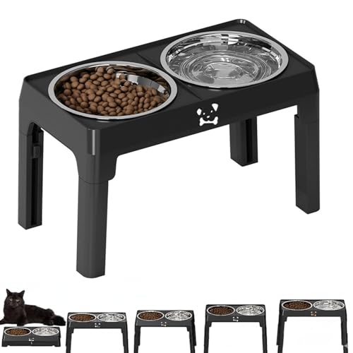 Lifetips {xC Bombay Lp H t[h{EX^h {E  ܂肽 pT|[g Hׂ₷ Hh~ 􂢂₷ ~  i5iK ubNj