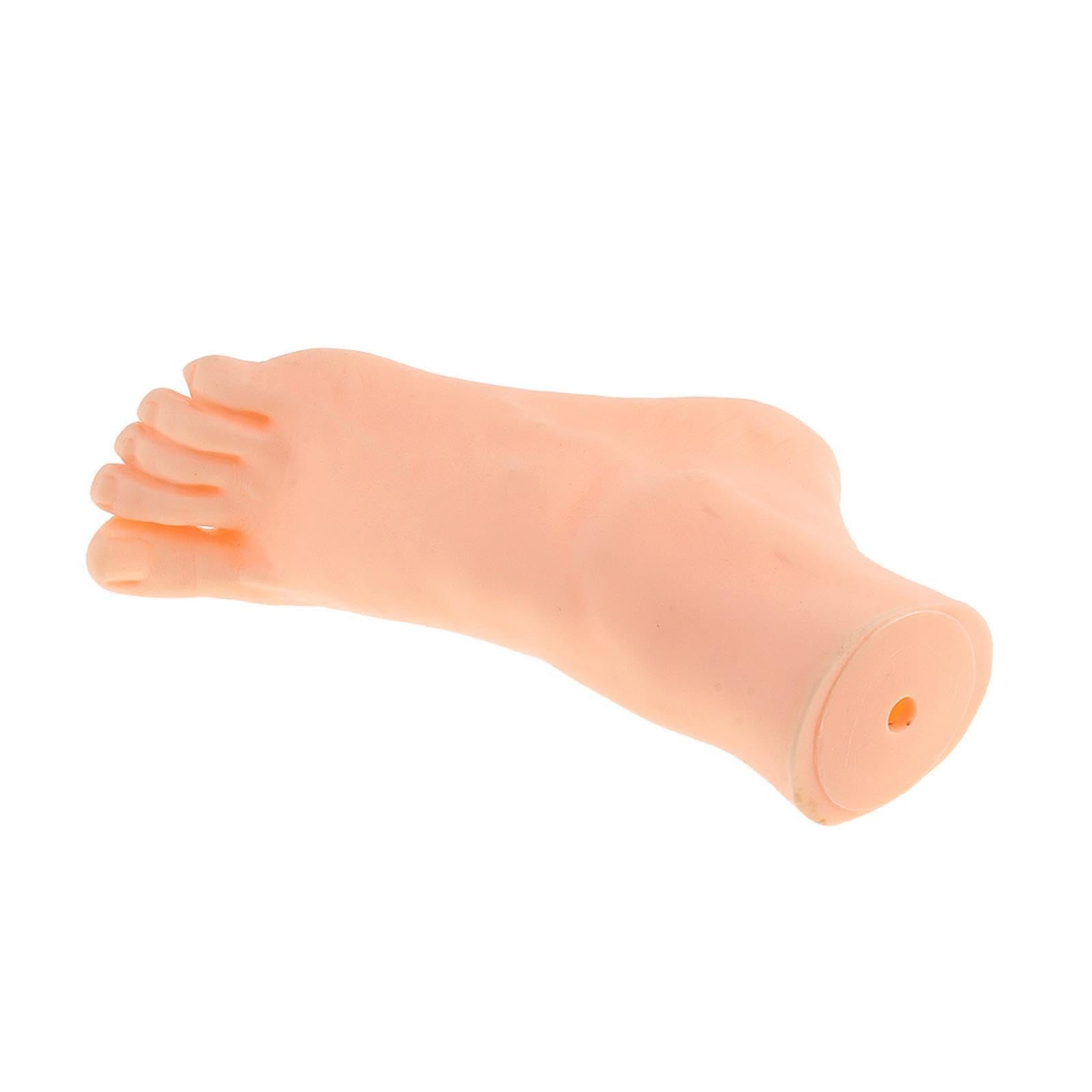 AMSLSIU Foot Display Showcase Model Jewelry And Shoe Exhibitions In Commercial And Home Settings 22cm/8.66inch Shows Mannequin Foot Display Holder Stand For