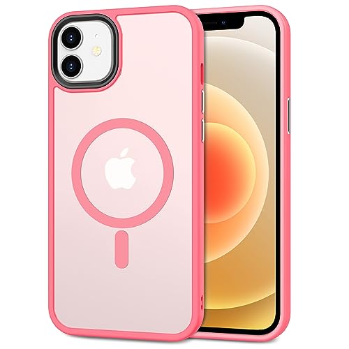 CACOE für iPhone Hülle mit Kameraschutz, Kompatibel mit MagSafe, Stoßfest Kratzfest Magnetisch Rückseite Handyhülle für iPhone Case Transluzente