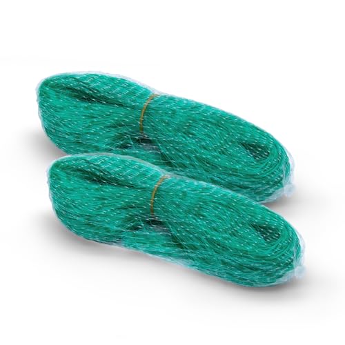 Red de protección para pájaros, color verde, juego de 2 unidades – 10 x 4 m – Malla de protección para plantas de 30 x 30 mm – Red para fresas frambuesa zarzamora arbustos flores bancal red de