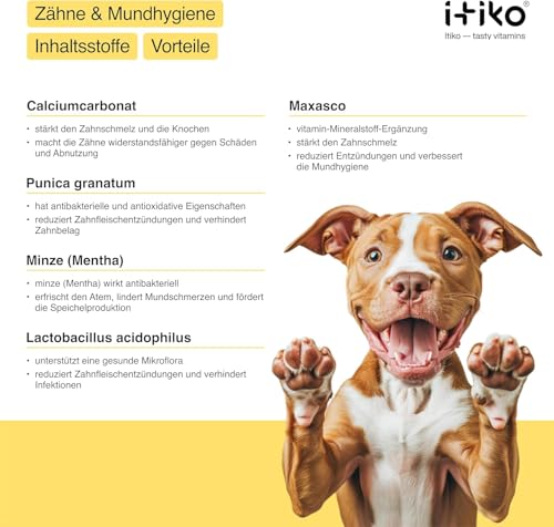 ITIKO | Natürliche Zahnpflege für Hund | Effektive Lösung zur Mundgeruch bei Hund | Zahnreinigung Hund | Alternative zu Zahnsteinspray oder Dentalspray für Hunde