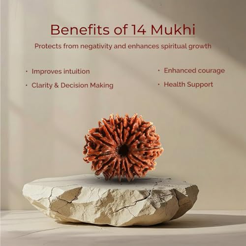 Image of Divine Hindu Original 14 Mukhi (Fourteen Face) Indonesia Rudraksha | Chaturdash Mukhi Rudraksh Bead for Meditation & Spiritual Growth | Natural Rudraksha for Men & Women | Prayer Bead for Success