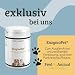 FeedMyAnimal EnzymoPet | 500 g | Ergänzungsfuttermittel für Hunde & Katzen | Zur ernährungsphysiologischen Unterstützung der Verdauungsfunktion | Mit Pankreatin