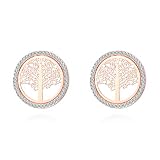 Ouran Damen Mädchen Weiblich. Mutter Freundin - Gold and Silver Plated Earring Silber Rund Farblos Kristall
