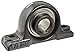 Timken RAO2 7/16 Ball Bearing Pillow Block, 2 Bolt Holes, Relubricatable, Non-Expansion, Cast Iron, Eccentric Locking Collar, Steel Insert, Inch, 2-7/16" Bore Diameter