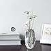 Donoucls Crystal Flower Vases Decorations 6