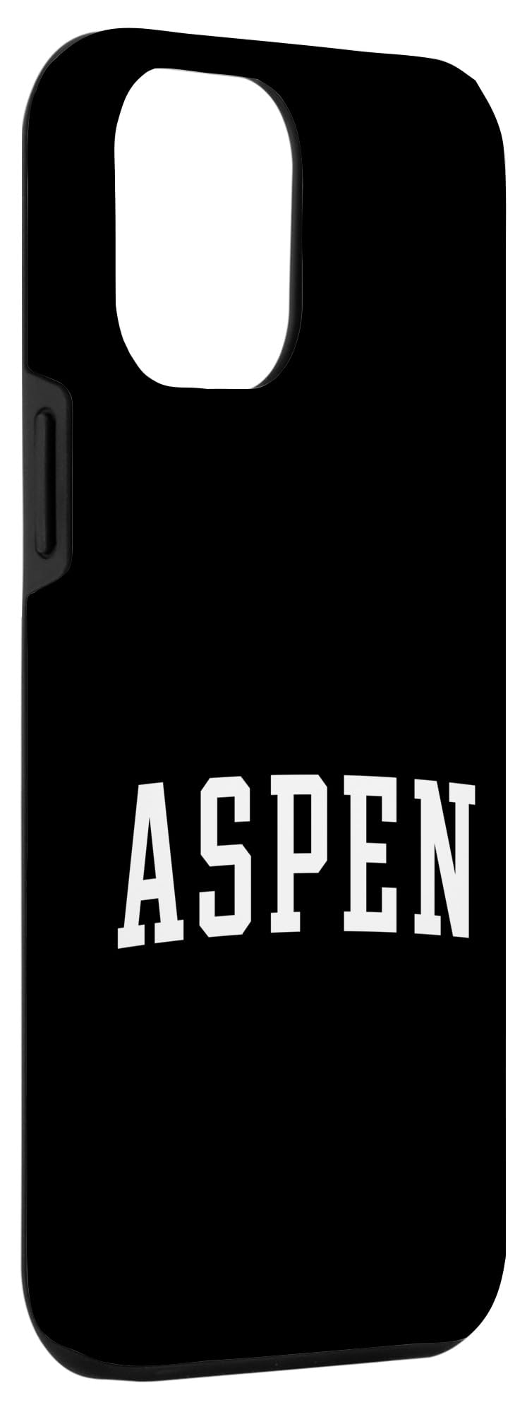 iPhone 15 Pro Max Aspen Classic Case - Image 3