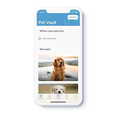 Intellitag - Smart Pet ID Tag Recovery System - Personalized Stainless Steel Tag with Digital ID & App for Small Dogs - Thumbnail 4