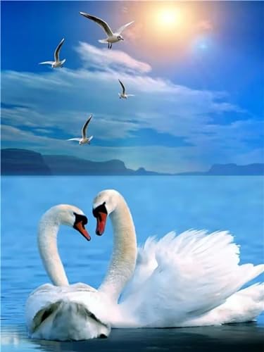 Peinture Diamant Cygnes au Coucher de Soleil 5D Kit Complet 50x80cm