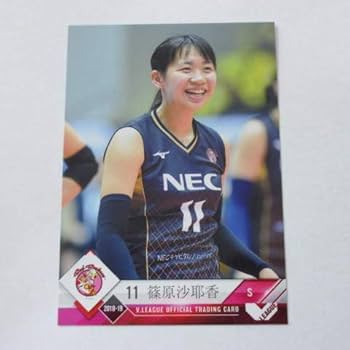 Vプレミアリーグ女子　直筆サイン入り　ポスター　抽選当選品　女子バレー Vプレミアリーグ女子 直筆サイン入り ポスター 抽選当選品 女子