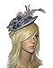 Produktbild Schöner großer Silber Grau-Haarband Fascinator Damen Tag Rennen Hochzeit