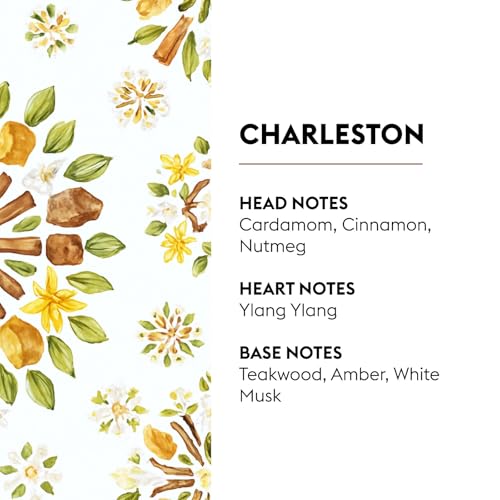 Charleston | Lampe Berger Fragrance Refill by Maison Berger | for Home Fragrance Oil Diffuser | Purifying and perfuming Your Home | 16.9 Fluid Ounces - 500 milliliters | Made in France